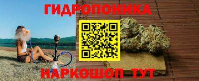 стаф Заводоуковск