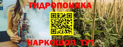 стаф Заводоуковск